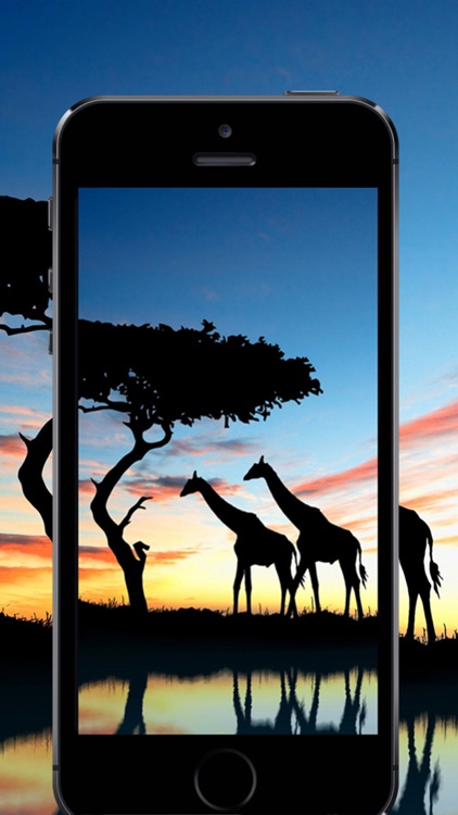 Moving Wallpapers HD-Dynamic Screen for free