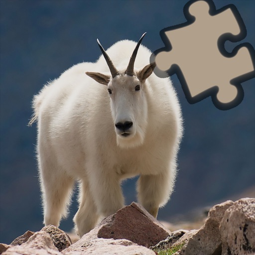 Animals Puzzle Centre icon