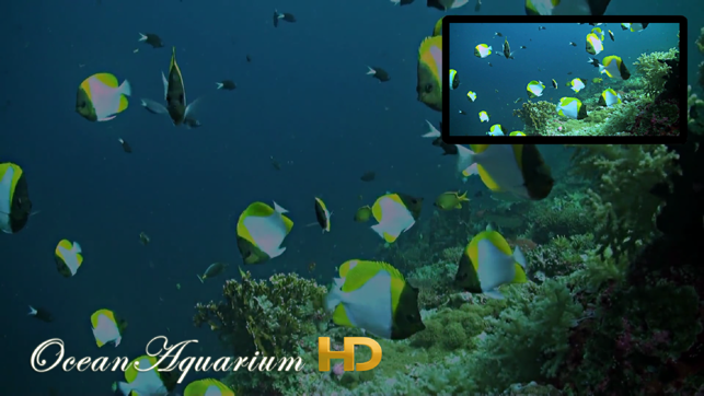 Ocean Aquarium HD