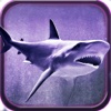 2016 Spearhead Shark Attack 2 Pro
