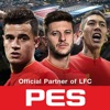 PES Manager icon