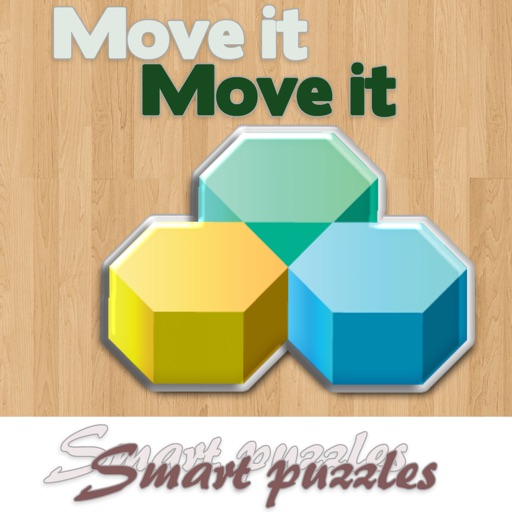 Move it smart puzzle - solution preschool logic Icon