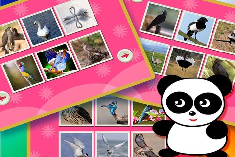 熊猫宝宝拼图乐园 - 小博士幼幼拼各种鸟儿和动物图片 screenshot 4