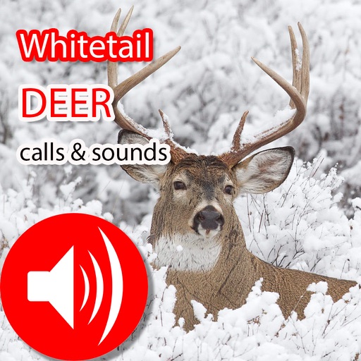 Whitetail Hunting Calls & Sounds - Real Deer Call icon