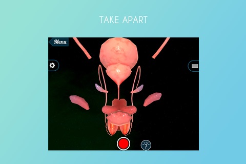 VR Male Reproductive System screenshot 2