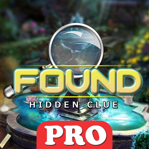 Found Hidden Clue Pro icon