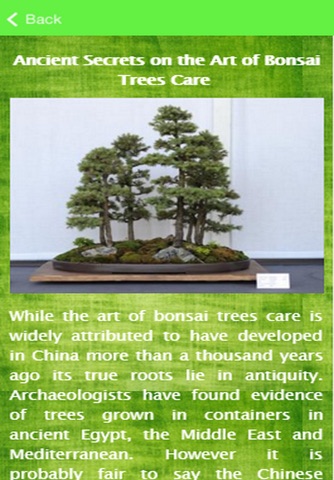 Bonsai Tree Care Guide screenshot 2