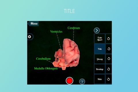 Virtual Reality (VR) Human Brain screenshot 2