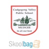 Cudgegong Valley Public School