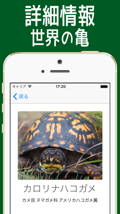 かめ図鑑 世界の品種 亀153種類 Iphoneアプリ Applion