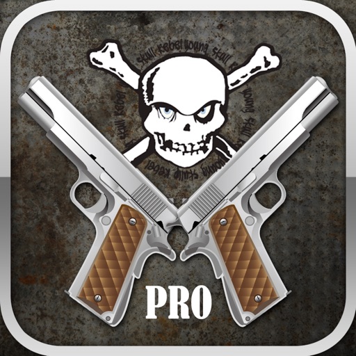 Gun Pro HD