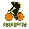 河北电动自行车平台