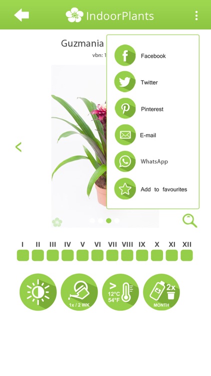 Info-IndoorPlants screenshot-4