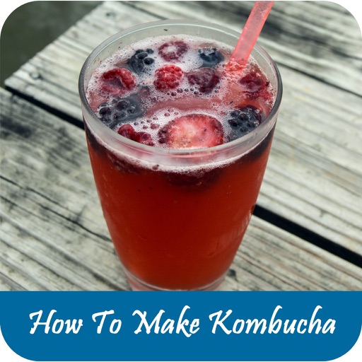 How To Make Kombucha icon