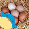 Free Bird Protected Eggs