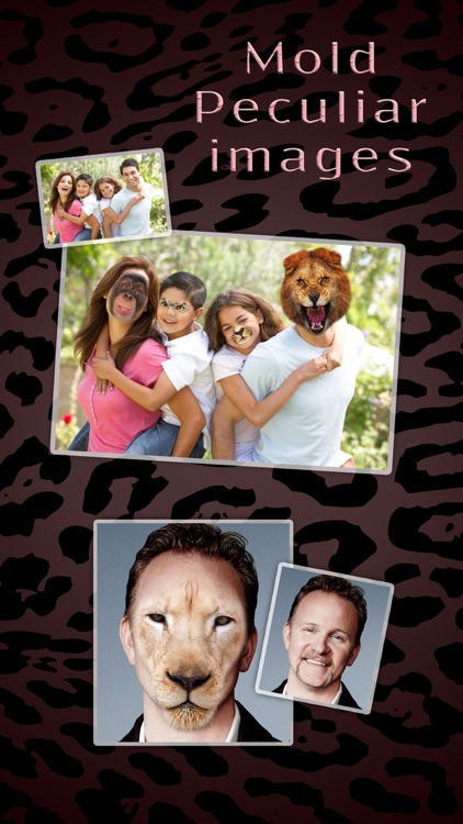 Animal Face Maker : The Funny Face Changer