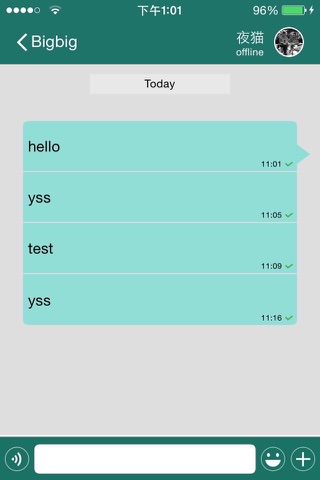 BigBigChat screenshot 3