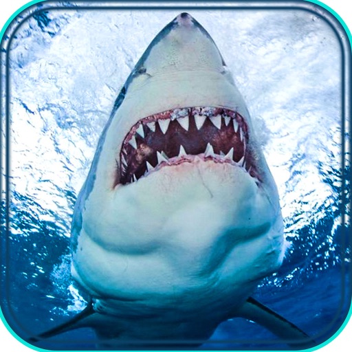 2016 Hungry Angry Shark Hunting Simulation - Interactive Aquarium Summer Season Hunting Pro icon