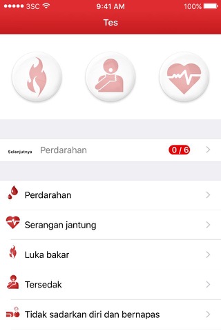 PMI-First Aid screenshot 4