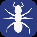 c,c debugging programs