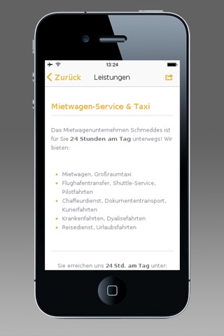 Taxi Schmeddes screenshot 3