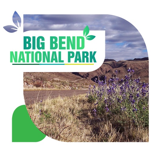 Big Bend National Park Travel Guide
