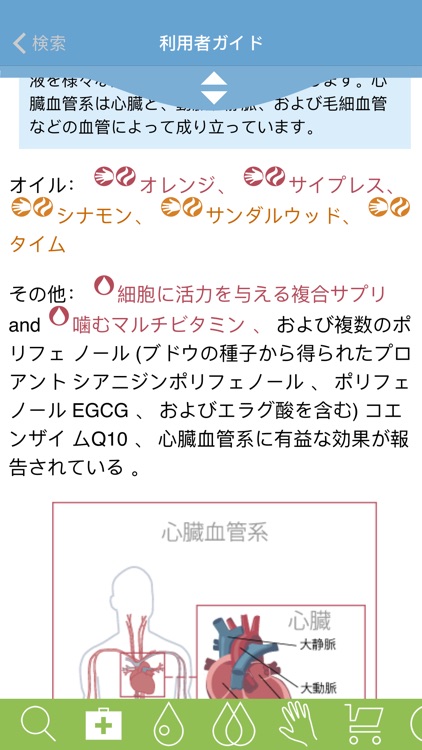 Modern Essentials Japanese