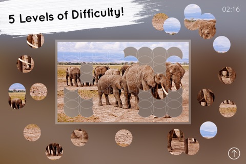 Venn Elephants: Overlapping Jigsaw Puzzles screenshot 2