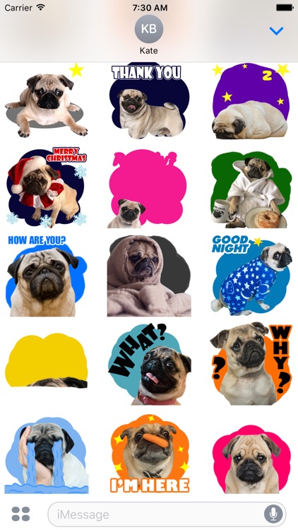 Handsome Pug Puppy Animated