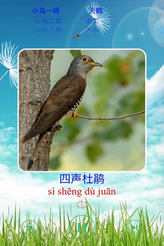 小鸟的叫声汉字拼音版 screenshot 2