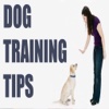 Guide for Dog Training