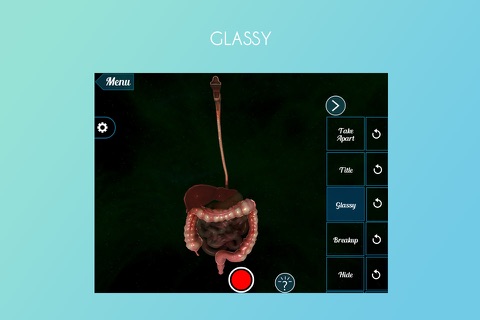 Human Alimentary Canal 3D screenshot 4