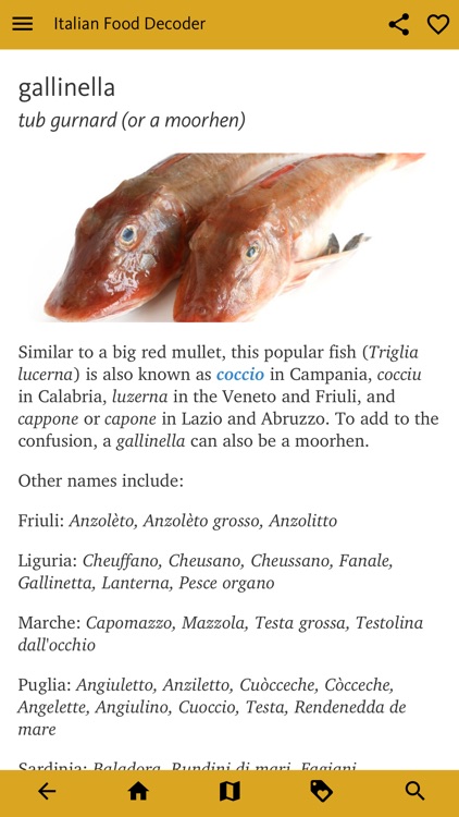 Italian Food Decoder screenshot-4
