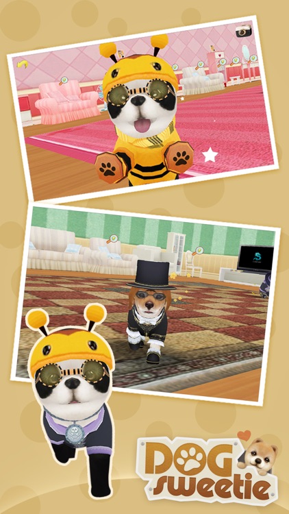 Dog Sweetie