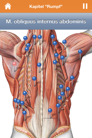 Sobotta Anatomy Atlas screenshot 2