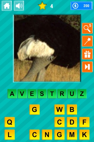 Close-up & Words - Animals Edition screenshot 4