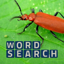 Wordsearch Revealer Critters