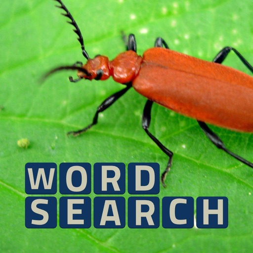 Wordsearch Revealer Critters