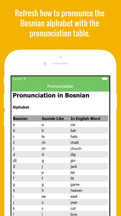 Bosnian Flashcards with Pictures