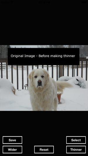 LittleThinner - Make any photo object thinner and skinnier.(圖1)-速報App