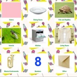 Bé Học Tiếng Anh - Hình Ảnh  Âm Thanh