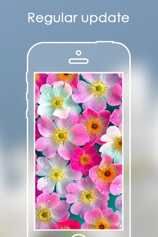 Best Flower Wallpapers | Lovely Rose Backgrounds screenshot 4