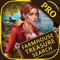 Farmhouse Treasure Search Pro