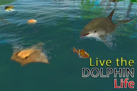 Dolphin Simulator 3D – Underwater Fish Simulation Game screenshot 2