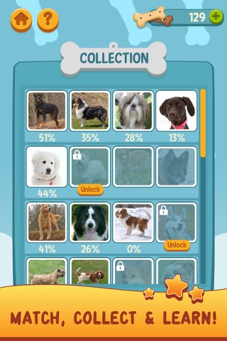 Canine Craze screenshot 4