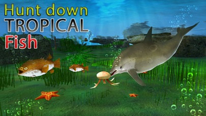 ドルフィンシミュレータ3D - 水中の魚のシミュレーションゲームのおすすめ画像1