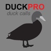 Duck Call and Duck Sounds for Duck Hunting