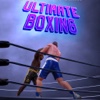 Ultimate Boxing - Smash the Enemy