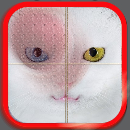 Puzzle - Cats iOS App