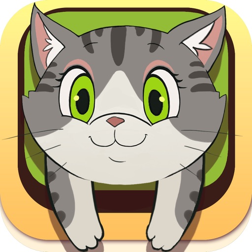 Kitty Home iOS App